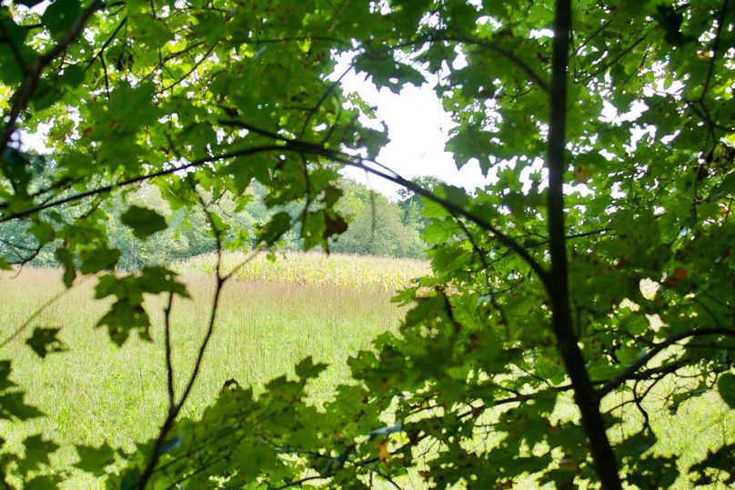 72342135-21f5-4f8d-badb-b2e1fdfb2baa 1 105 c