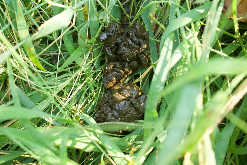 7329305d-2acf-4b47-b1c4-81b2e359e55a 1 105 c