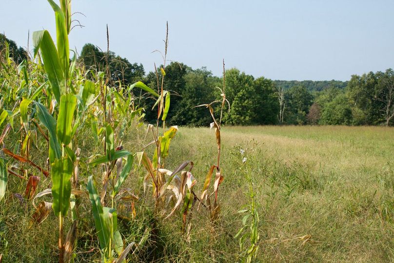 85768717-1d28-4a8e-b047-78ed800d3556 1 105 c