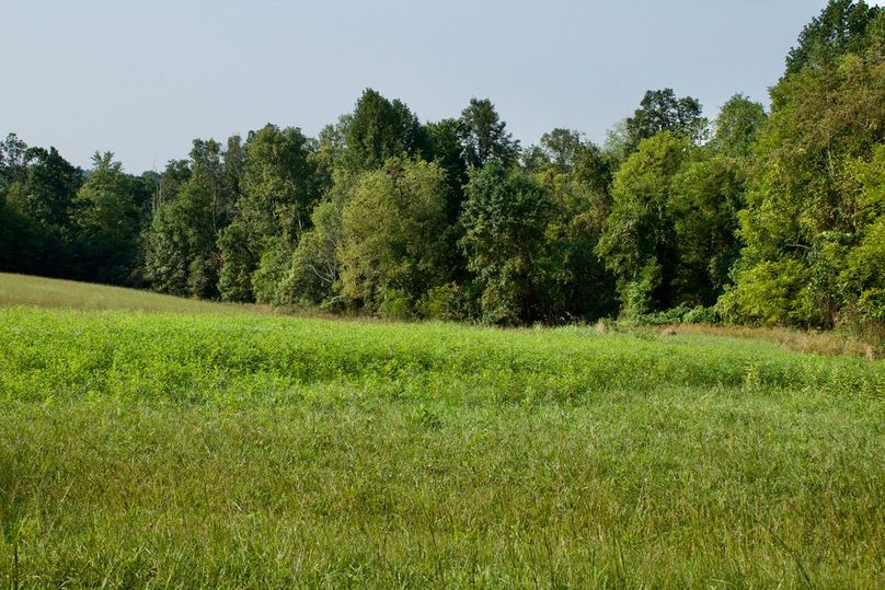 83c244ac-50e1-4dbe-900d-f15b1ad71825 1 105 c