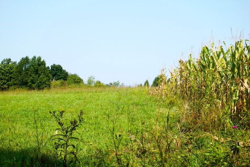 8dff5aa4-26c9-42a4-a99b-0bae5adaa8ae 1 105 c