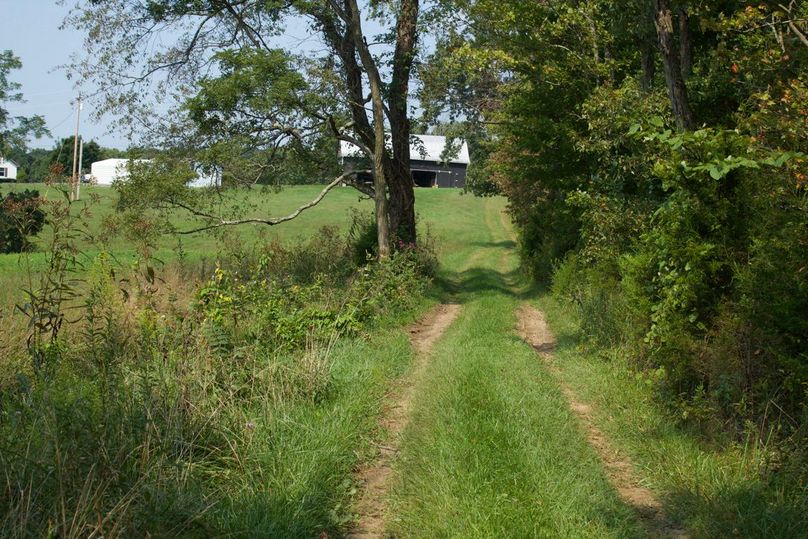 9842dc6b-4a22-4690-a5f3-34d93089b8b4 1 105 c