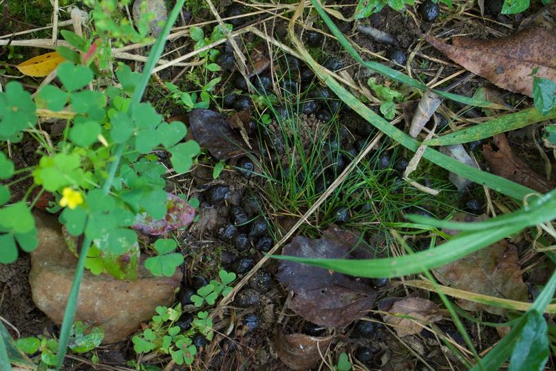 9077530d-c898-4ec0-9f68-71414ffdaaa8 1 105 c