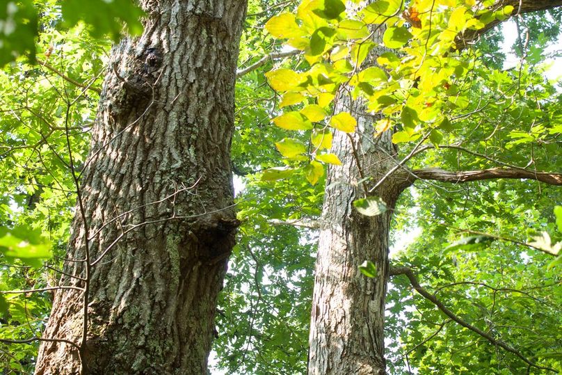 9b9db96f-dd3d-42eb-8144-9055798d8c45 1 105 c