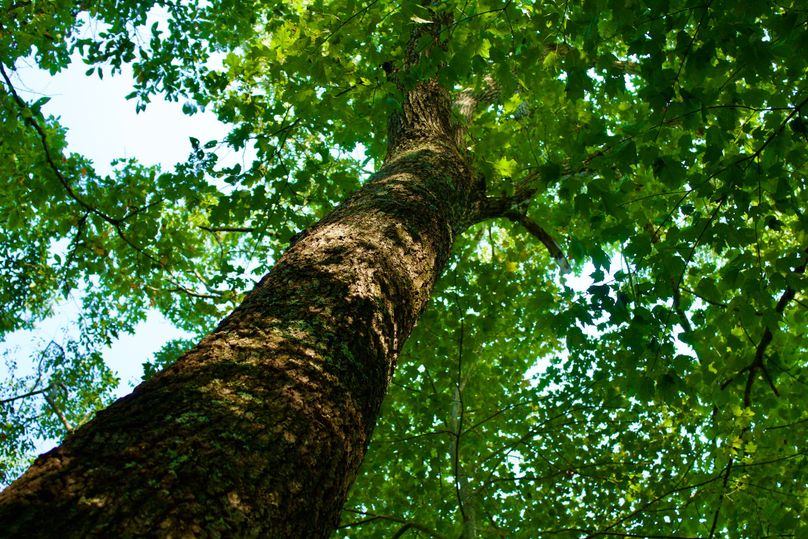 9e99c141-d198-4c34-839d-e472183b20a9 1 201 a