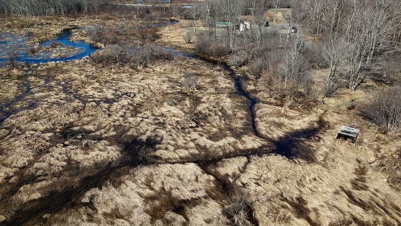 Oswego_8_Cannade_Photos_35