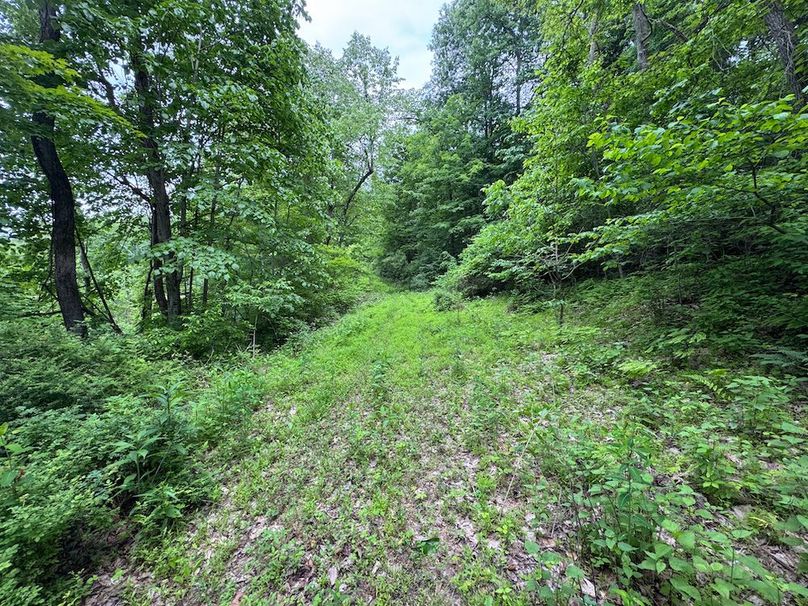 Tyler, WV 313.87 AC -53