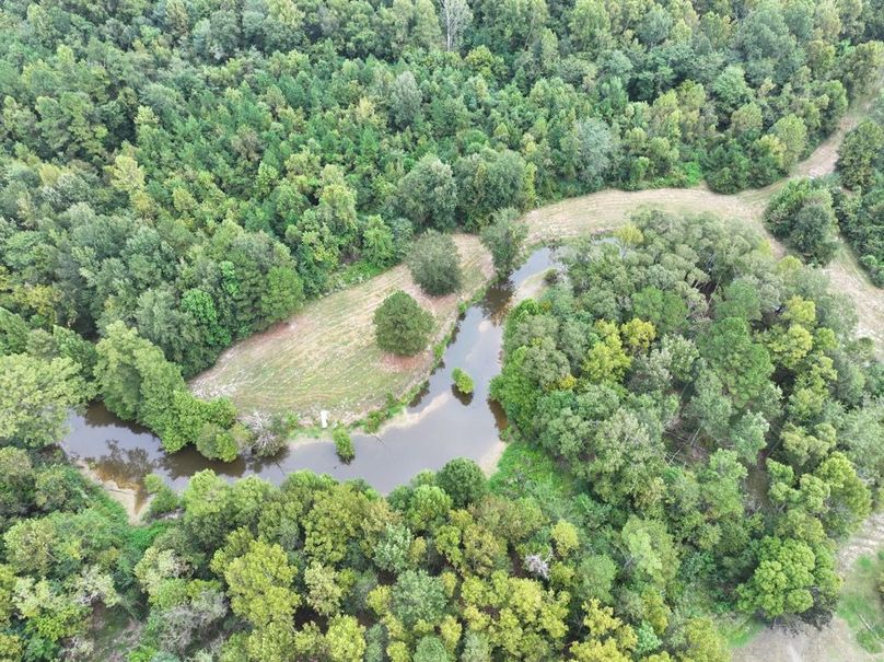 dji_fly_20250924_092446_0516_1758726292433_photo