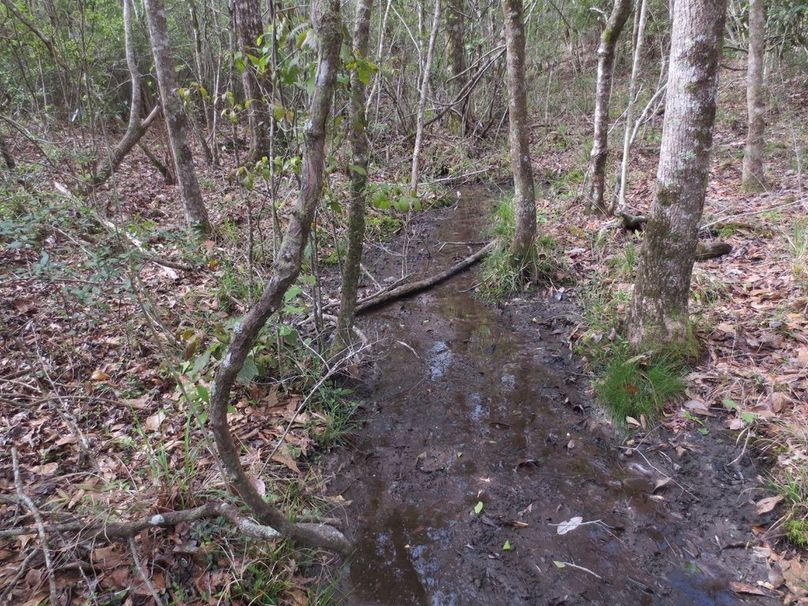 71E66783-3A74-4436-A3A3-218CA1C83925_1_105_c