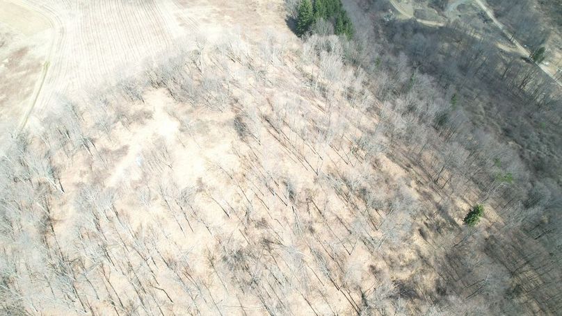 dji_fly_20250325_123216_35_1742920818289_photo