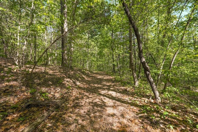 45-2869 Persian Ln41