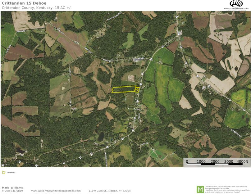 Crittenden co. KY 14.99 airplane