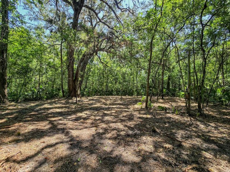 1.01ac, Citrus, Josiah Ronco07