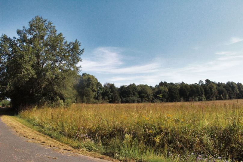 7.5 pasture from ground 2