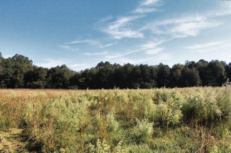 7.5 Acre Pasture GL 2