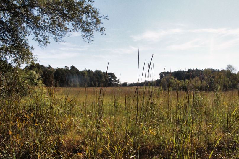 7.5 Pasture from gound