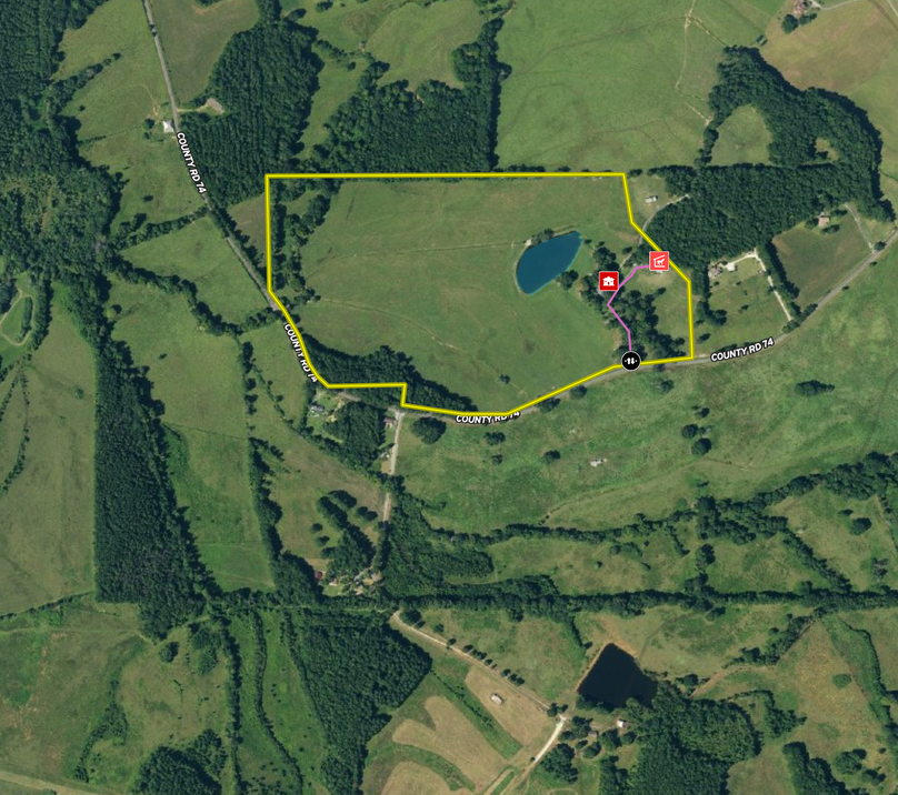 Screen Shot 2021-11-02 at 7.19.54 AM