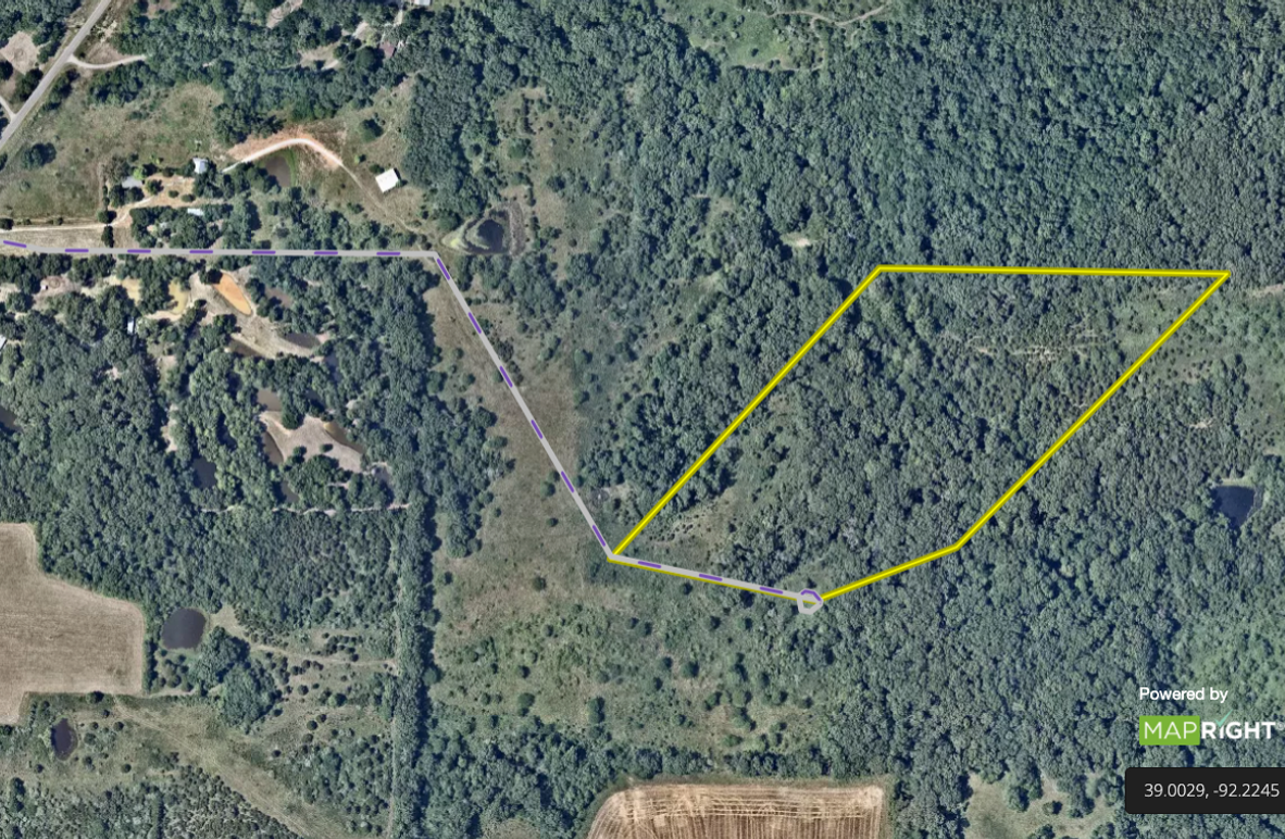 Screen Shot 2021-11-22 at 12.43.29 PM