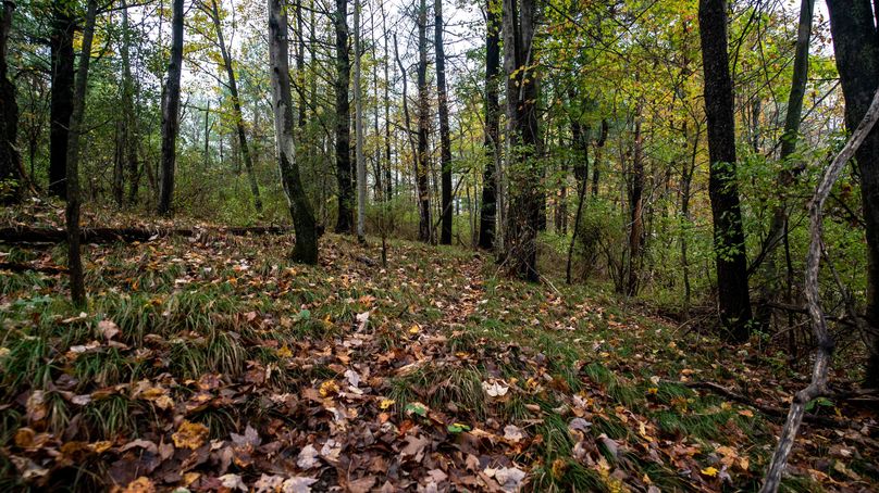 Chemung_22_Witter_Photos_4