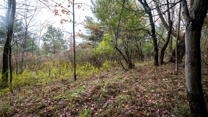 Chemung_22_Witter_Photos_12