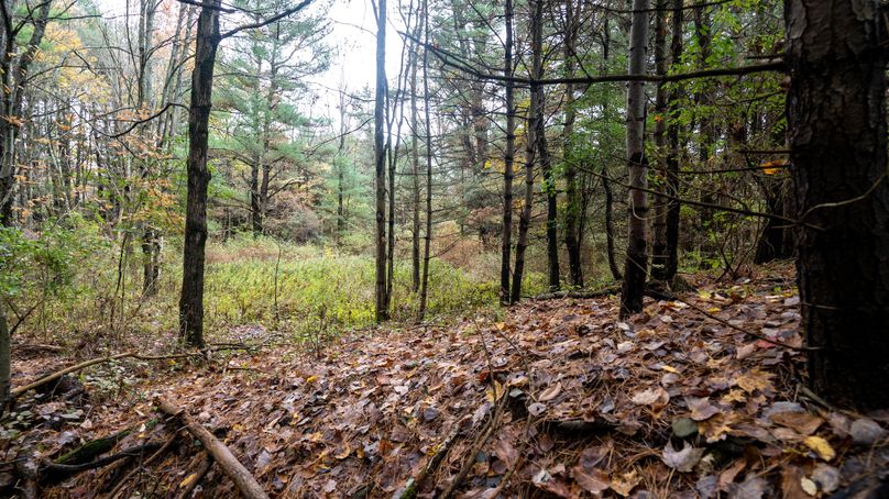 Chemung_22_Witter_Photos_16