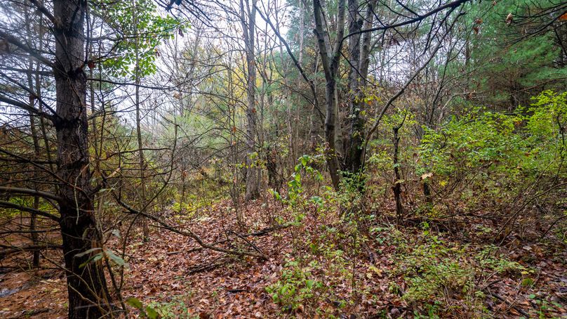 Chemung_22_Witter_Photos_10