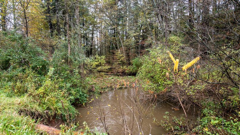 Chemung_22_Witter_Photos_3