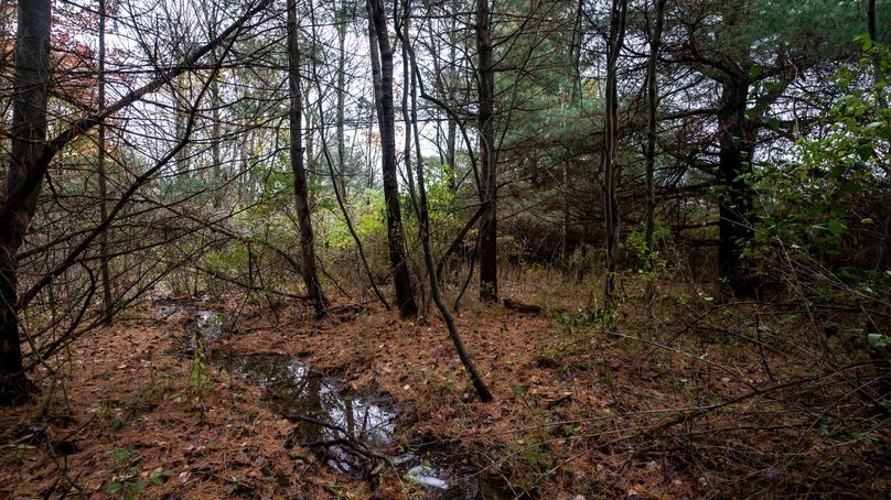 Chemung_22_Witter_Photos_13