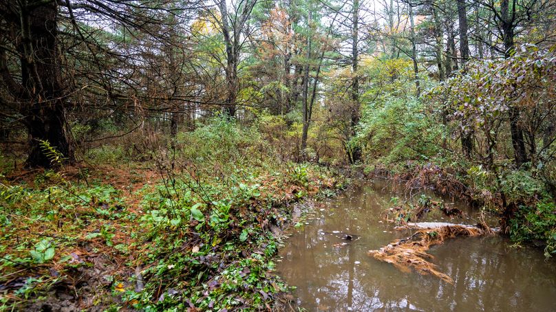 Chemung_22_Witter_Photos_18