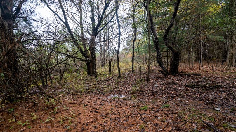 Chemung_22_Witter_Photos_14