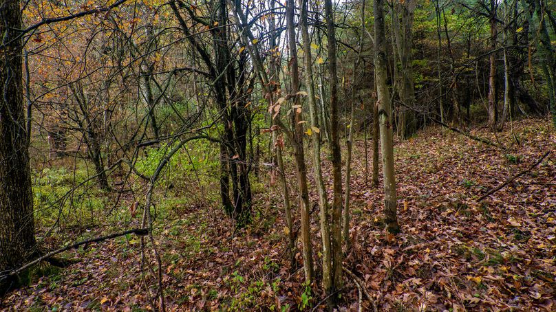 Chemung_22_Witter_Photos_2