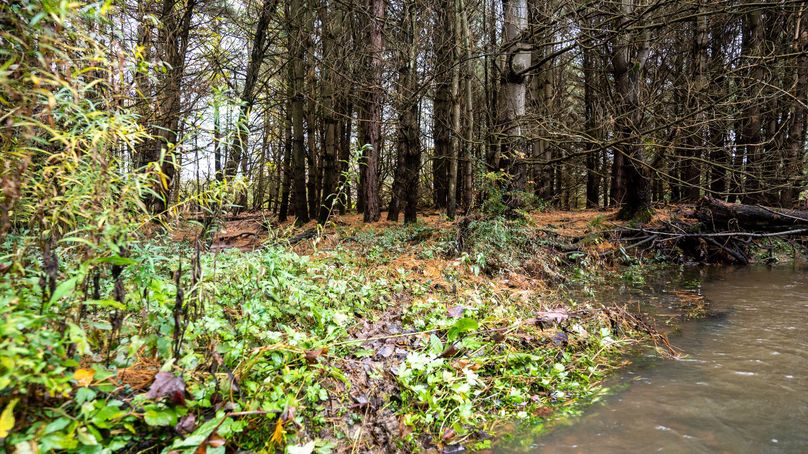 Chemung_22_Witter_Photos_19