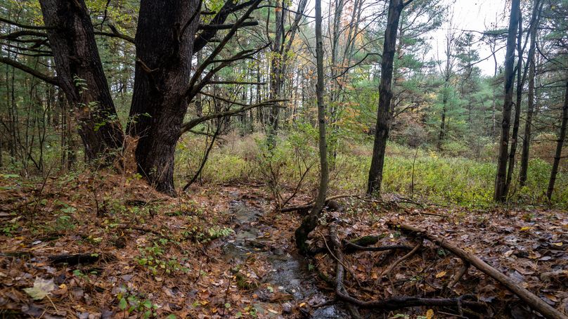 Chemung_22_Witter_Photos_17