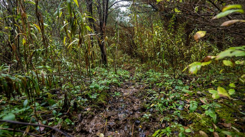 Chemung_22_Witter_Photos_15