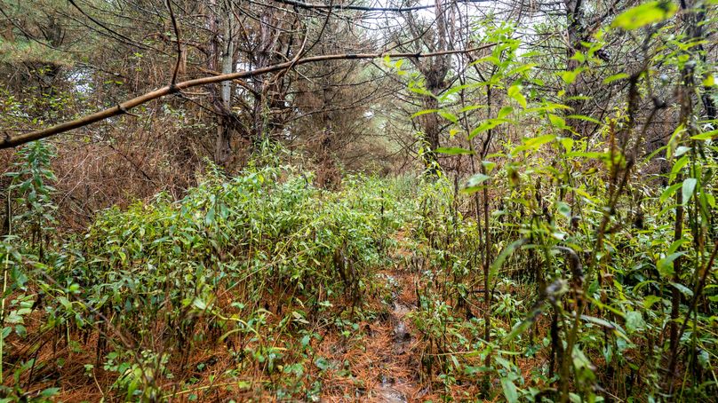 Chemung_22_Witter_Photos_8