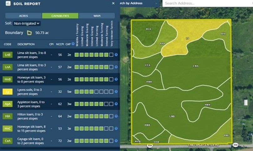 soil report 1