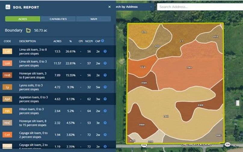 soil report 2