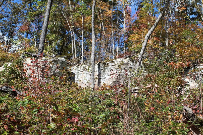 023 one of a few rock formations in the upper elevations of the property