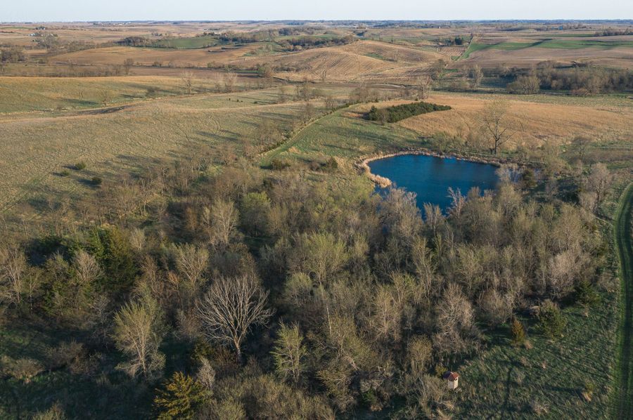 DJI_0142