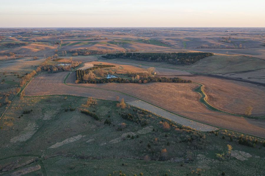 DJI_0272
