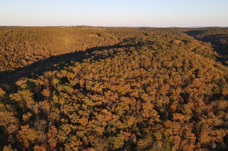 DJI_0905