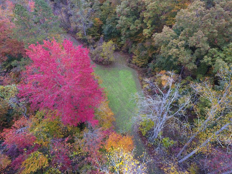 014 low elevation drone shot... nature at its finest