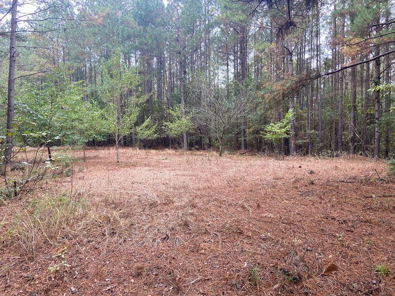 8C6FC216-E76B-4DC2-9882-CB379EA49A75