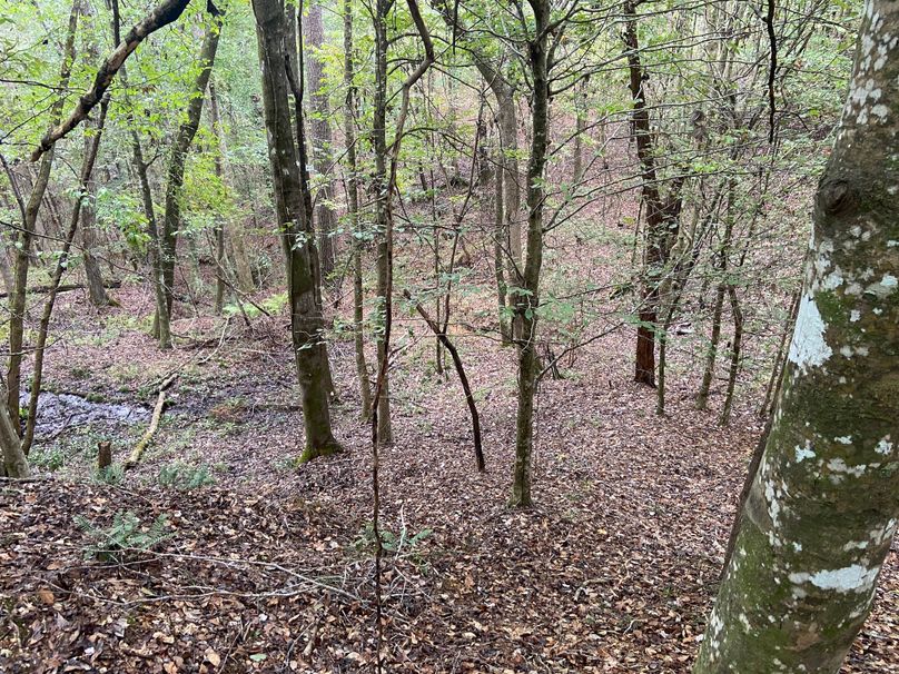 CE464007-8832-4A83-A421-0A187DA6FB59