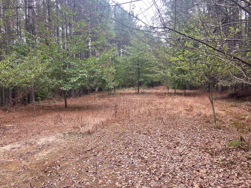 C8C8B57F-5144-4826-ABC9-495B54505981