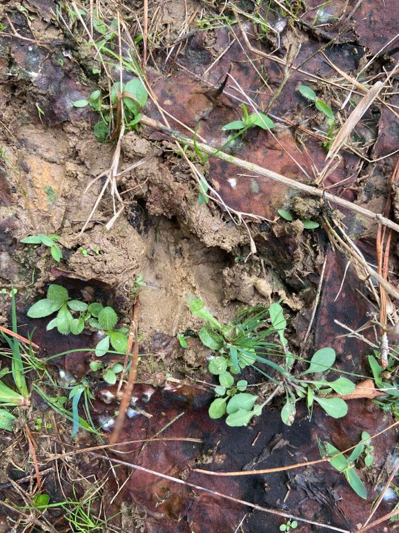 1317B310-7FB8-45D0-81EE-74BCFA4BBA92