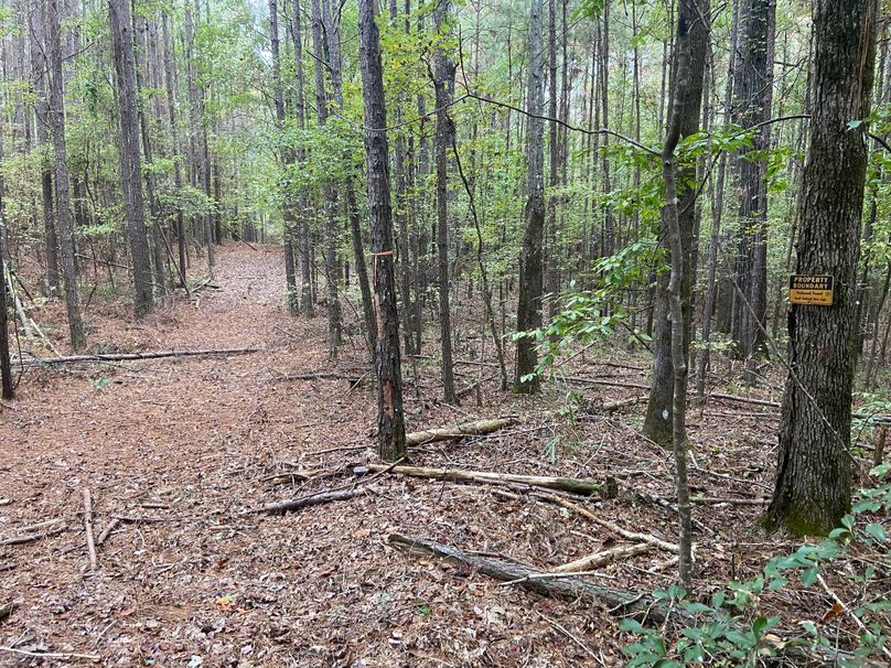 3D365451-903A-408D-B347-7E687CA8AFA1