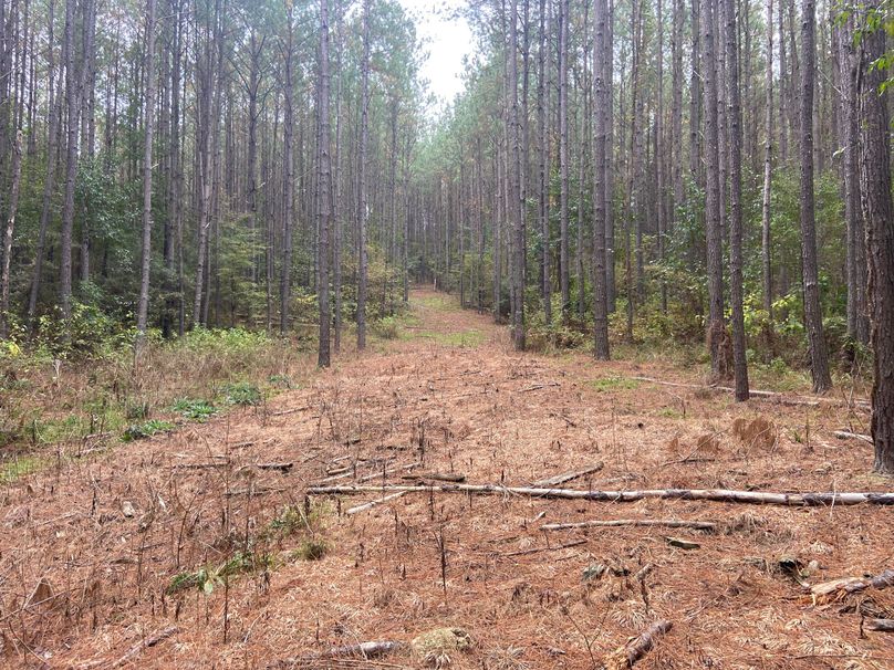 004DA6B2-8522-48CC-BEC9-B5E269118E84