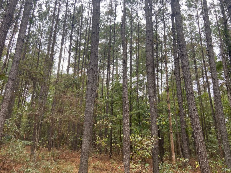 5A5CDB59-711D-4FB7-B09C-D377A04342D1