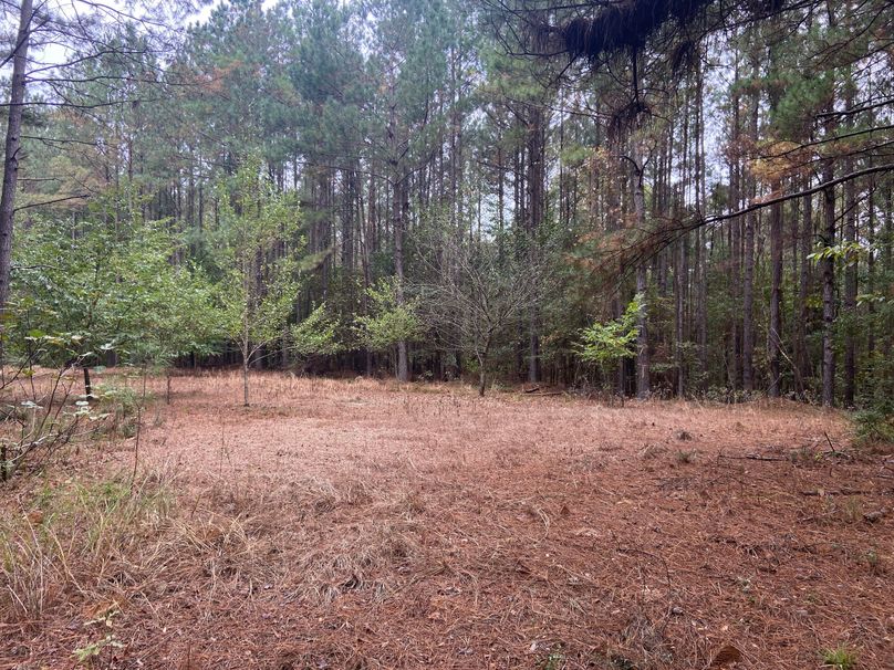 82B61A4B-A9B8-4447-8A71-2726280F8A49